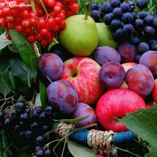 Kırmızı Renkli Meyveleri Eksik Etmemek Soframızdan;Sağlıklı Bir Hayatı Seçmektir...