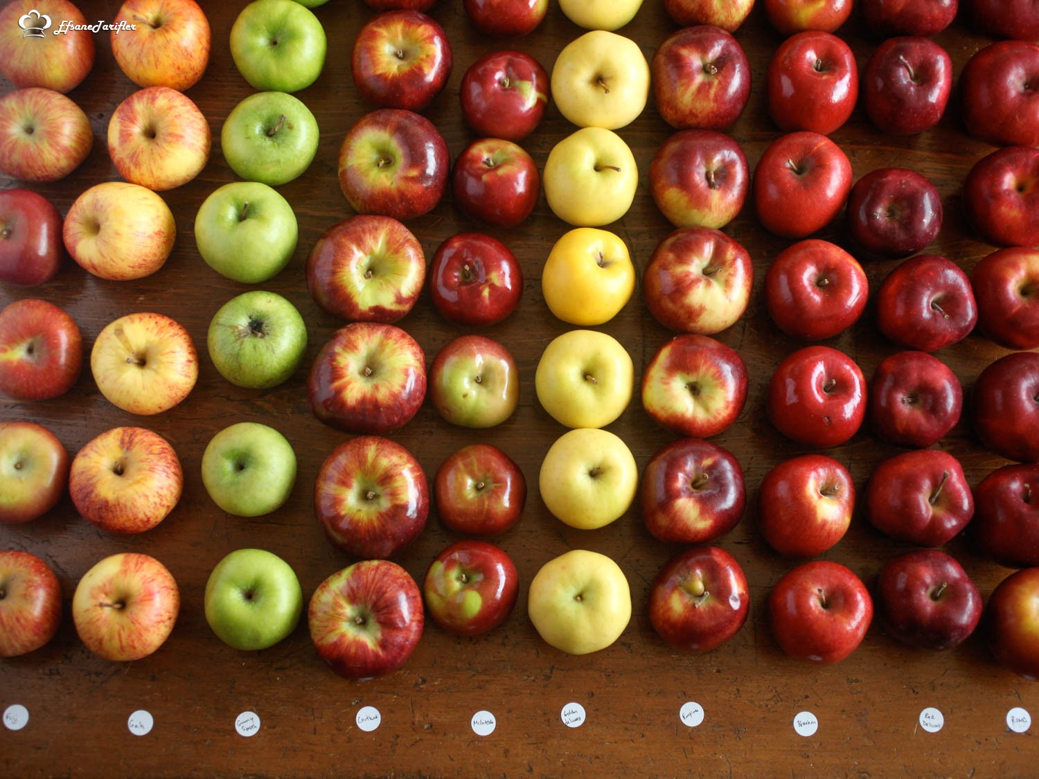 Elma Yemek Kaç Yılınızı Alabilir ? Tarifi Porsiyonu