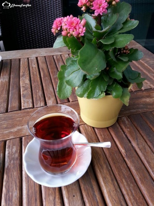 Çay sanattır,kültürdür,sevgi dostluktur ,çay uzun sohbetler,kahkahalardır,işten kaytarmak mutfağa kaçmaktır ...